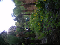 Lost Gardens of Heligan