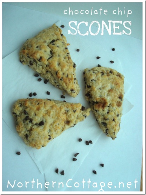 northern cottage chocolate chip scones northern cottage chocolate chip scones