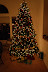 Browne Christmas Party 2008