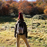 IMG_8206.JPG