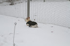 Well, this is cold!