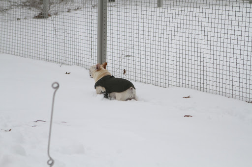 Well, this is cold!