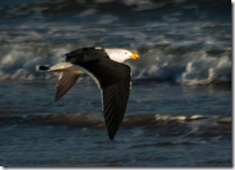 cropped photo cropped photo