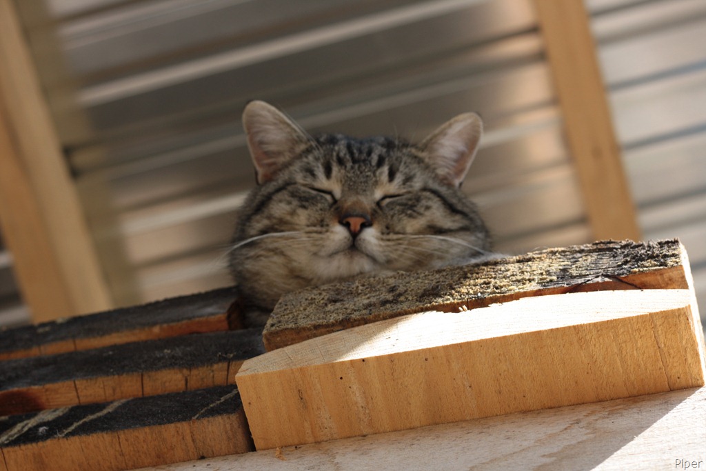 [IMG_3311%255B7%255D.jpg]