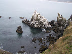 oregon_coast