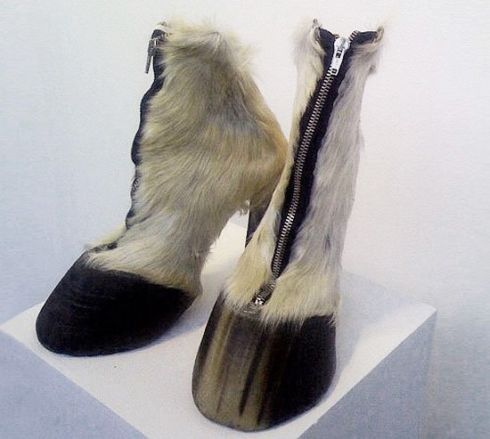 weird-animal-shoes.jpg