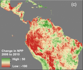 Regional map of annual net primary production anomalies derived from subtraction of the 2009 and 2010 from 2008 total NPP values from the CASA (Carnegie Ames Stanford Approach) simulation model. All carbon fluxes shown are in units of grams of carbon per square meter per year. Image courtesy of ERL via mongabay.com