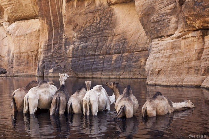 guelta-archei-11