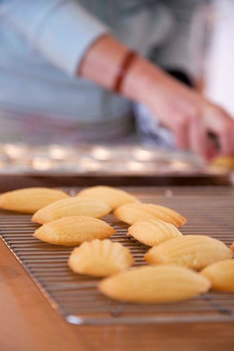 [Madeleines%25202%255B5%255D.jpg]