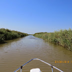 IMG_5652.JPG