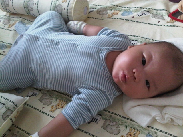 [IMG01867-20120327-0840%255B3%255D.jpg]