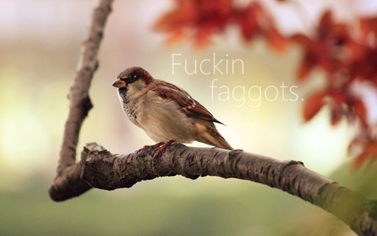 [beautifully-offensive-obsenities-12%255B2%255D.jpg]