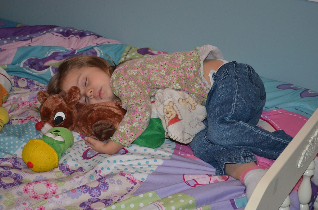 [DSC_3242%255B4%255D.jpg]