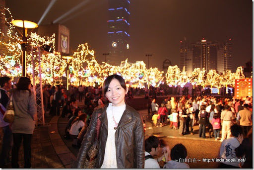 2010台北燈節(台北燈會)-市府廣場側邊 2010台北燈節(台北燈會)-市府廣場側邊