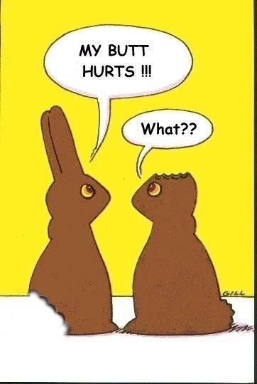 [bunnies3.jpg]