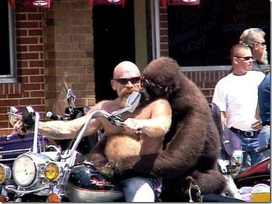 viral-picdump-pics-6