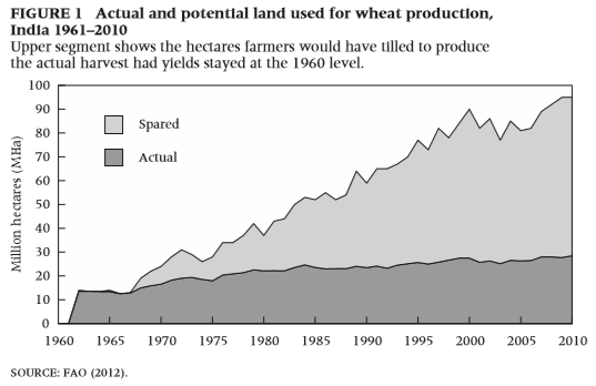 Actual and potential land used for wheat production, India 1961–2010. The upper segment shows the hectares farmers would have tilled to produce the actual harvest had yields stayed at the 1960 level. FAO (2012) via Program for the Human Environment at the Rockefeller University in New York