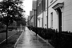 Wet-Pavements-2---Film