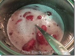 cranberry fruit gels - The Backyard Farmwife