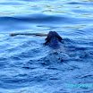 Batnuni Fishing trip 044.JPG