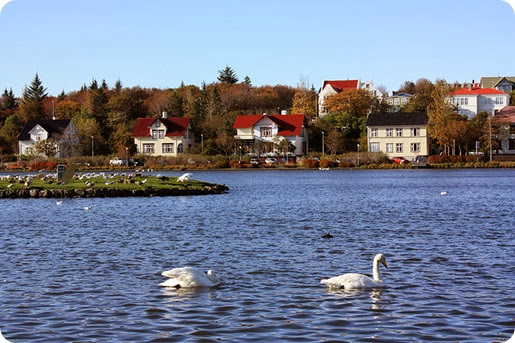 honeymoon in Reykjavik