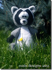 waschbär