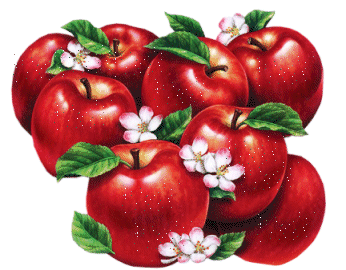 gif_animate_cucina_09 (1) gif_animate_cucina_09 (1)
