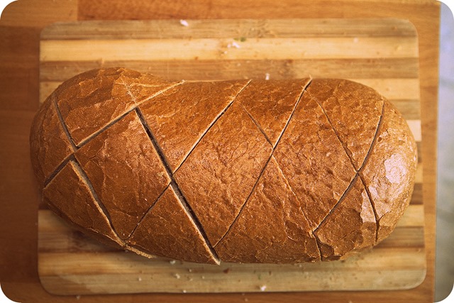 [IMG_8869%255B5%255D.jpg]