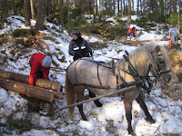 IMG_5146.JPG