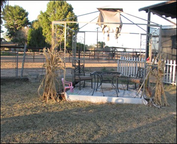 IMG_7386 IMG_7386