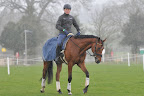 Michael Jung with Sam in the rain