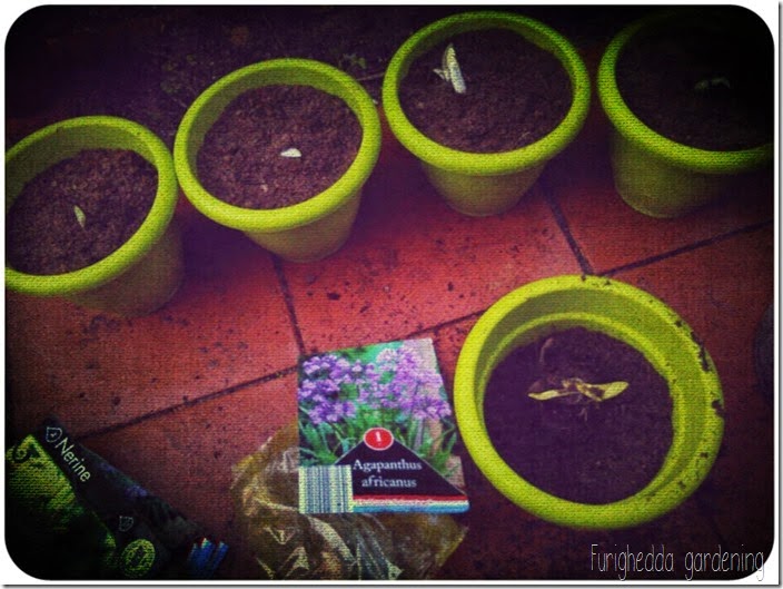 Foto 15 Foto 15