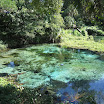 Rainbow Springs State Park-092207-44.JPG
