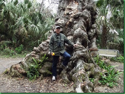 Highlands Hammock Day 2 039