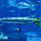 IMG_4777.JPG