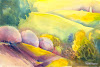 Lavendar Breeze