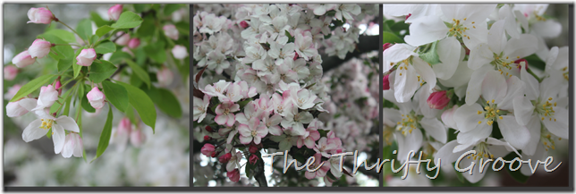 PicMonkey Collage1