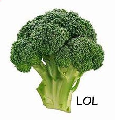 [Broccoli2.jpg]