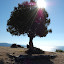 Grèce