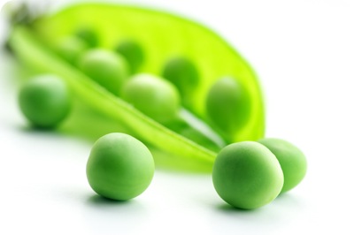 shutterstock_58790422_small shutterstock_58790422_small