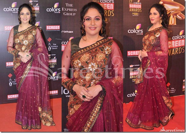 Gracy_Singh_Embroidery_Netted_Saree
