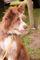 Great profile Great profile