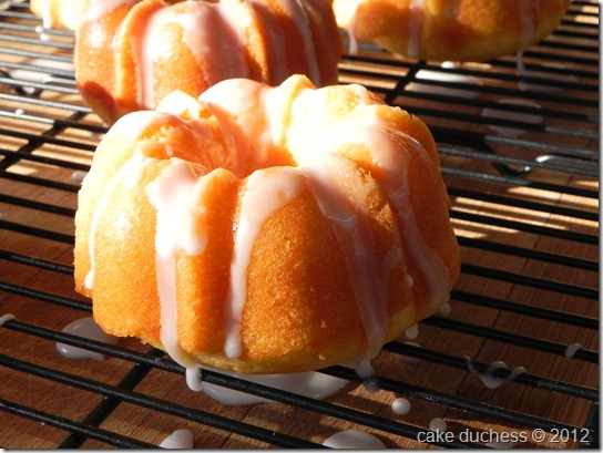 orange-yogurt-mini-bundt-cakes orange-yogurt-mini-bundt-cakes