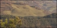 Panorama 13