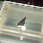 moon rock which was touchable in Cape Canaveral, United States 