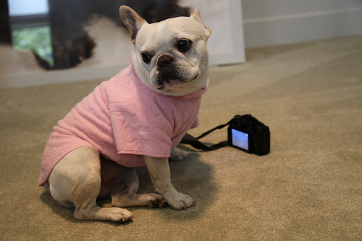 Francesca!  Are you ready?  We need to take some photos for the blog! This will also be good practice for our upcoming magazine photo shoot!