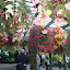 DSC06218.JPG