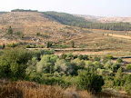 p1238559458(19).jpg