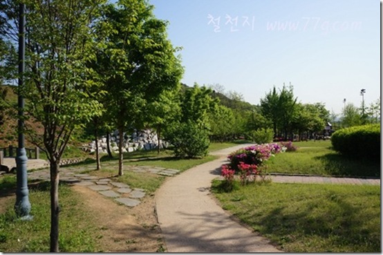 철천지DSC00485-20120504-082832 철천지DSC00485-20120504-082832
