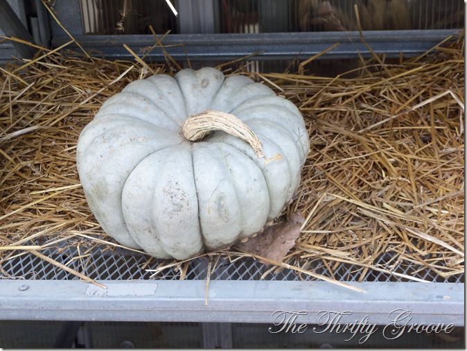 Autumn 2011 257